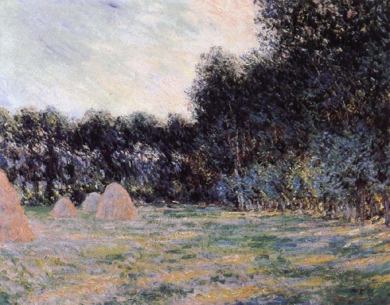 Claude Monet Field with Haystacks at Giverny China oil painting art